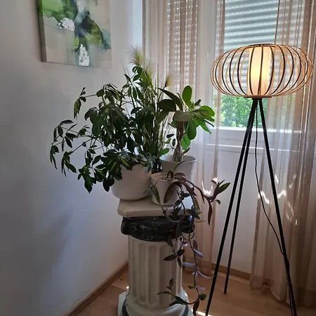 Apartman Predah Varasd Kültér fotó